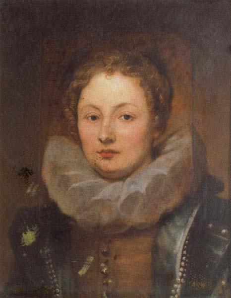 Anthony Van Dyck Portrait of a Noblewoman oil painting image